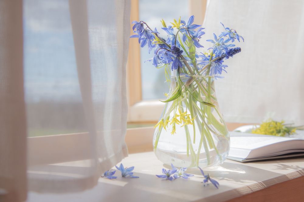 Photograph by Julia L