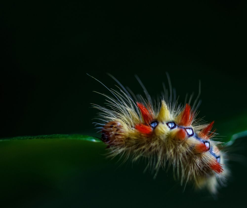 Photograph by Андрей Селиванов