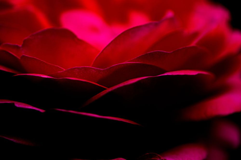 Photograph by Anja Jansen