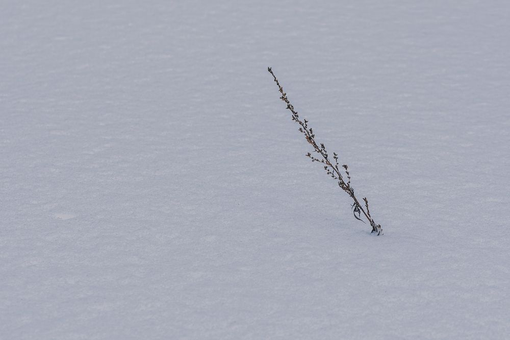 Photograph by Евгений Москвин