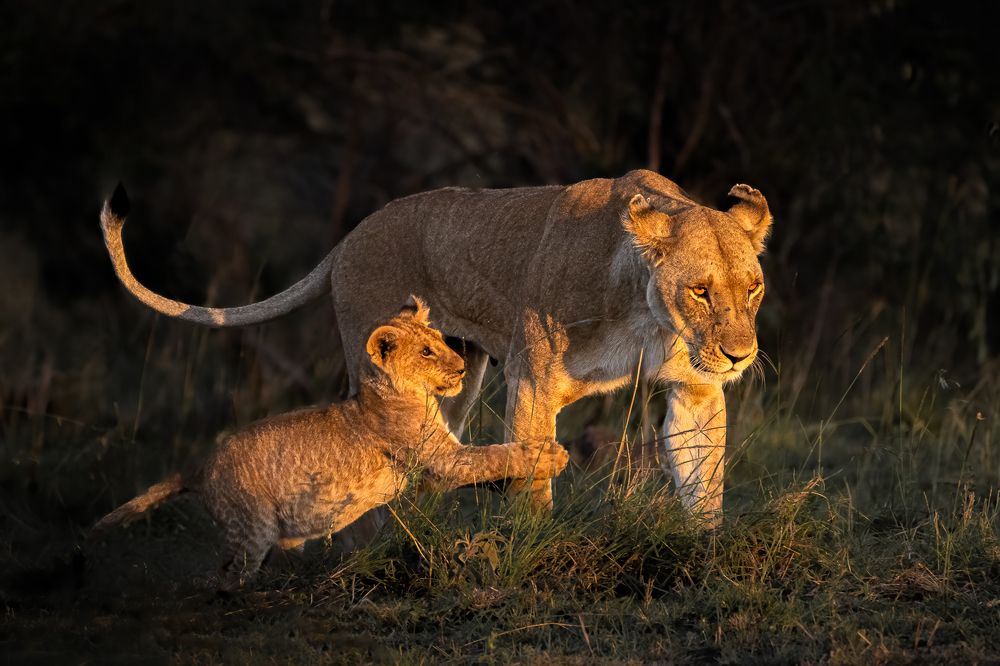 Photograph by Jayakumar MN