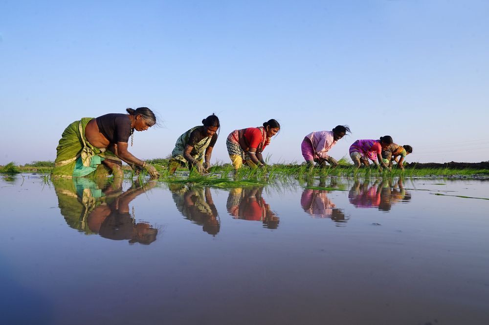 Photograph by Raghava Reddy Poreddy