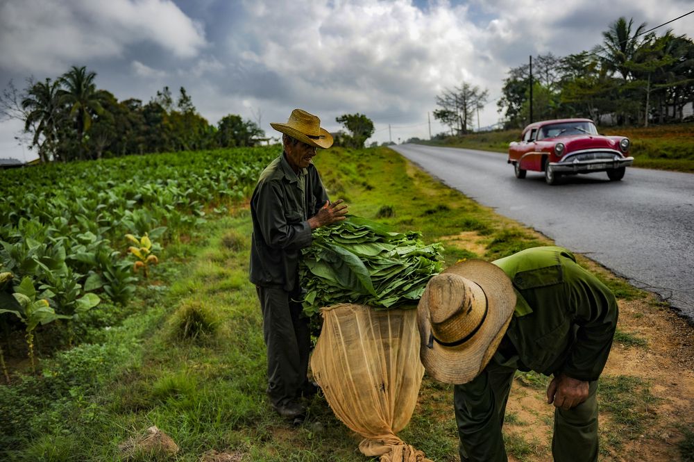 Photograph by Yamil Lage