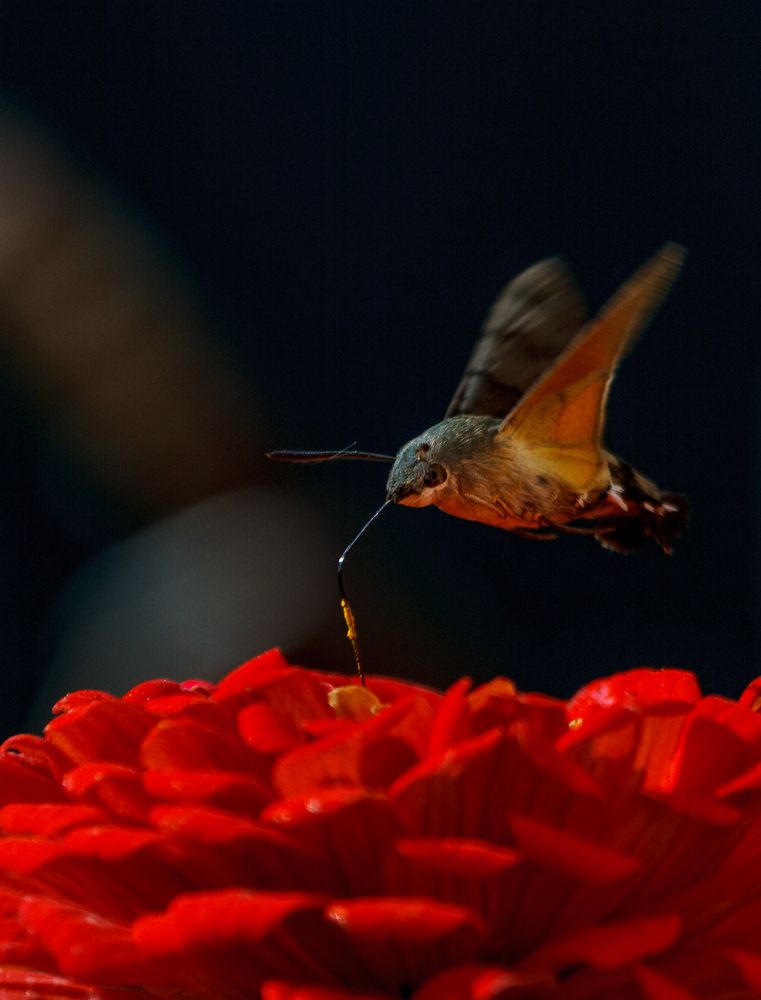 Горячий напиток.