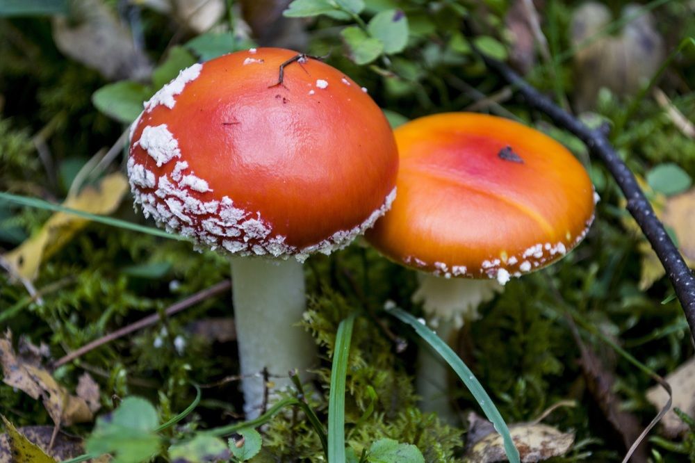 Photograph by Елизавета Большакова