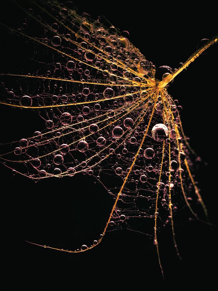 Photograph by Лапшина Владлена