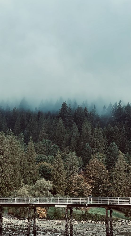 Photograph by Fatemeh Dashti Ardakani