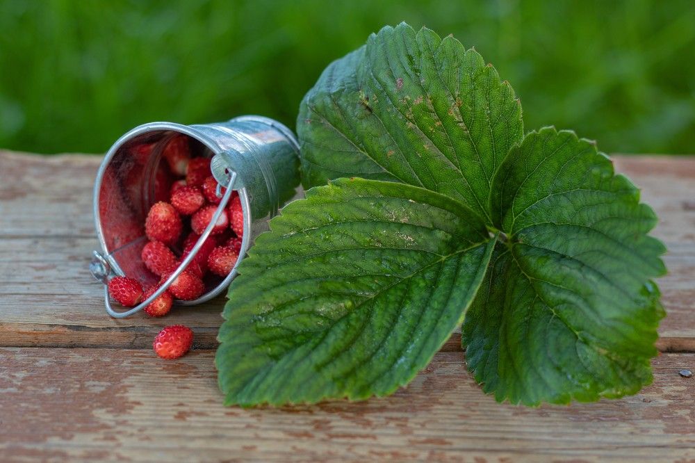 Photograph by Анна