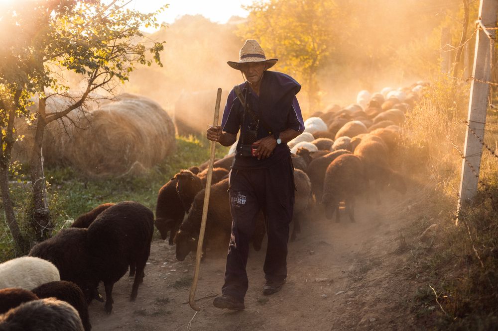 Photograph by Igor Djordjevic