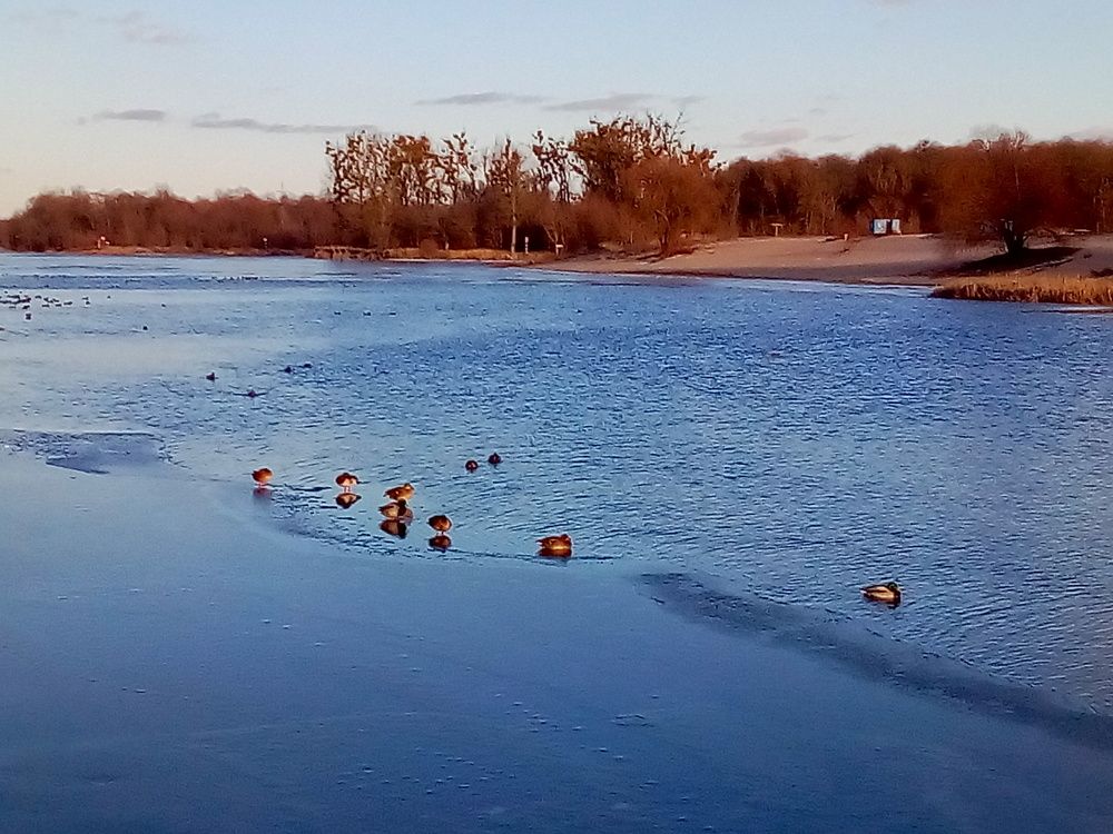 Photo #7240183