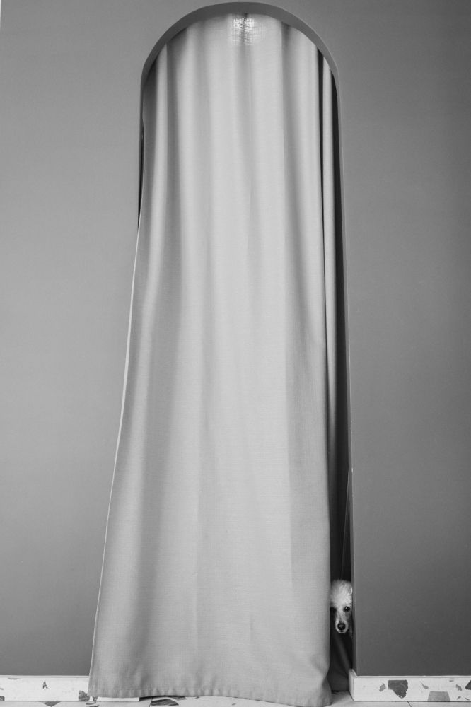 Photograph by Kseniya Zubkova