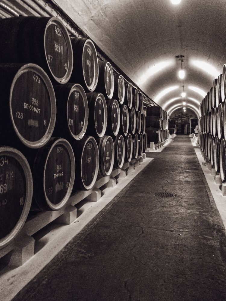 Photograph by Елена Слесаренко