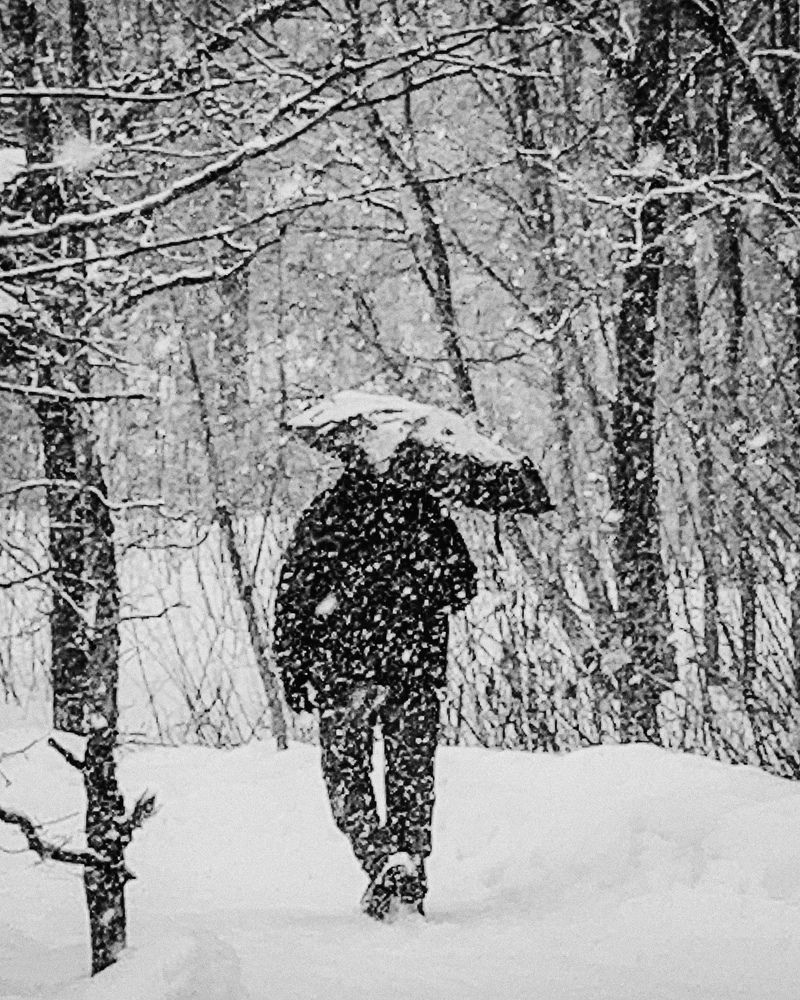 Photograph by Логинова Наталия