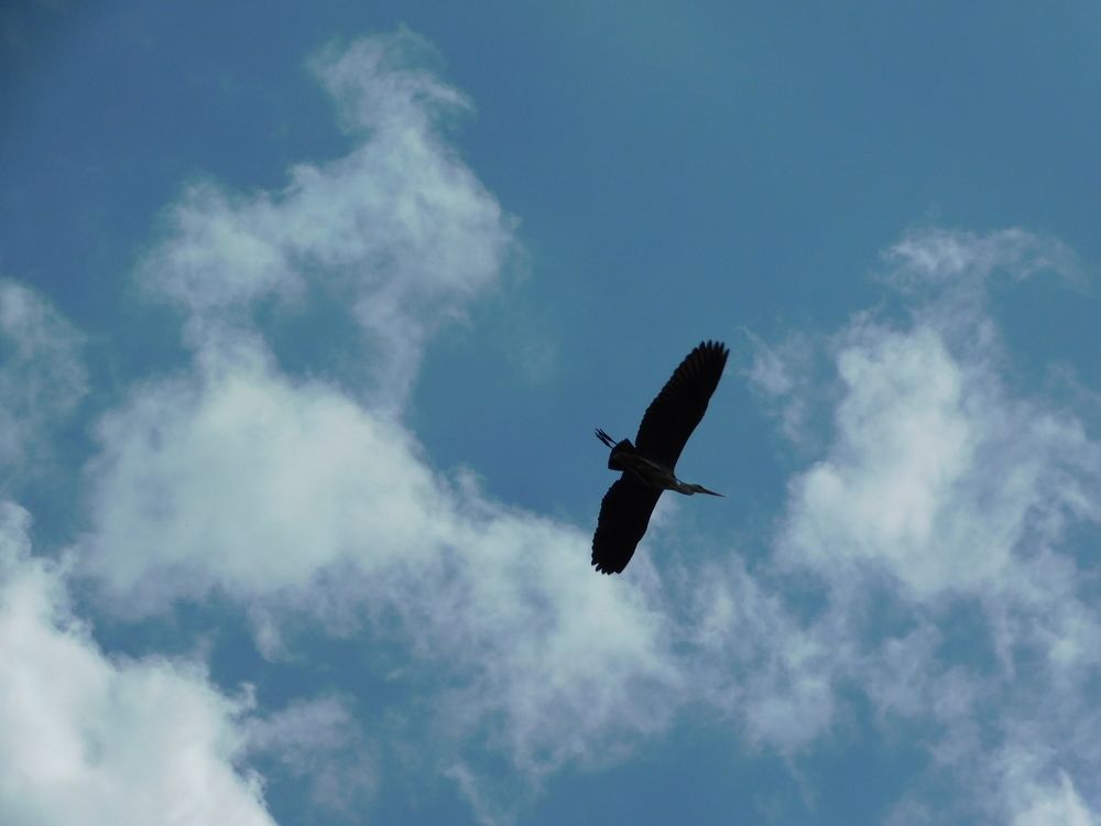 Photograph by Анастасия Афанасьева