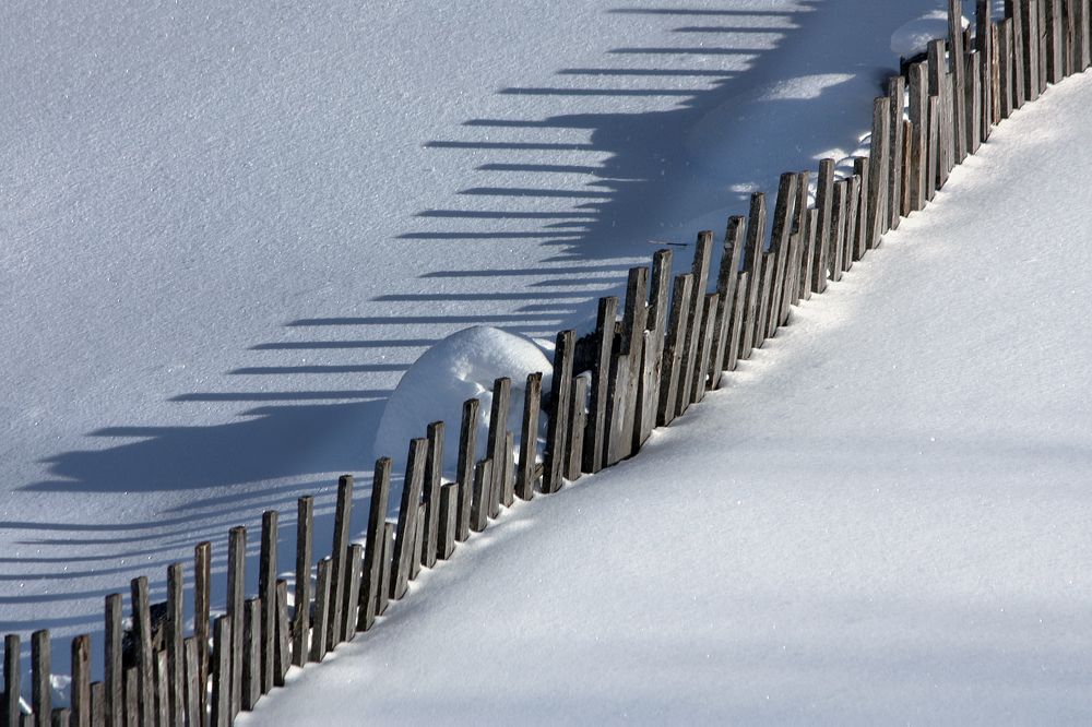 Фотография автора Ольга Заболотская