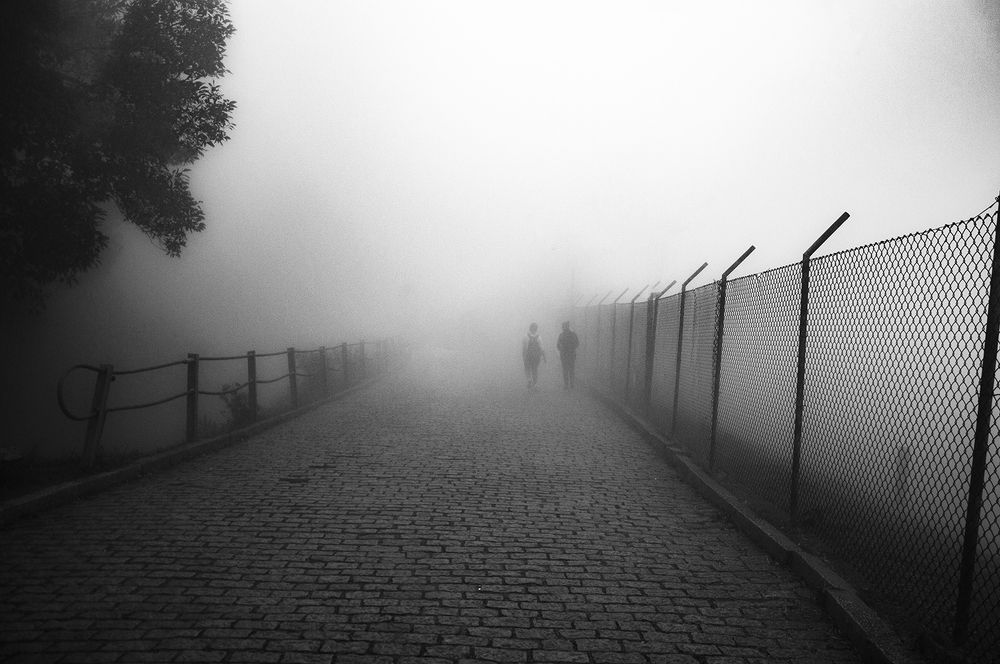 Photograph by José Assis