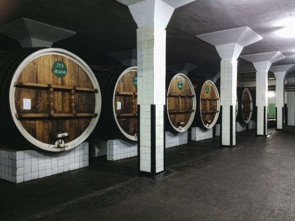 Photograph by Елена Слесаренко