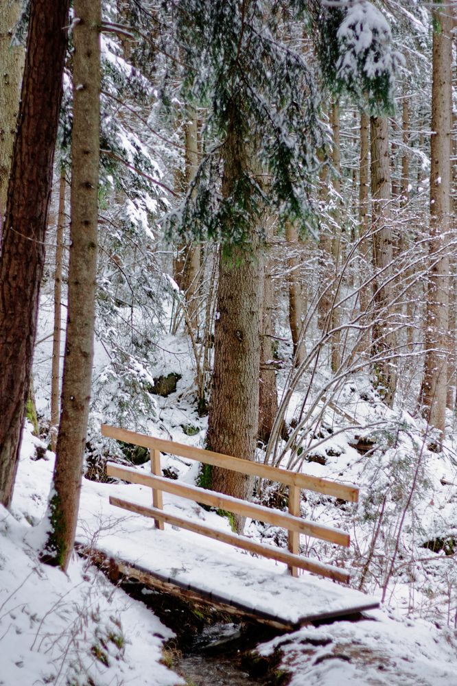 Photograph by Miroslav Polca