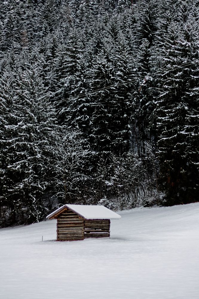 Photograph by Miroslav Polca