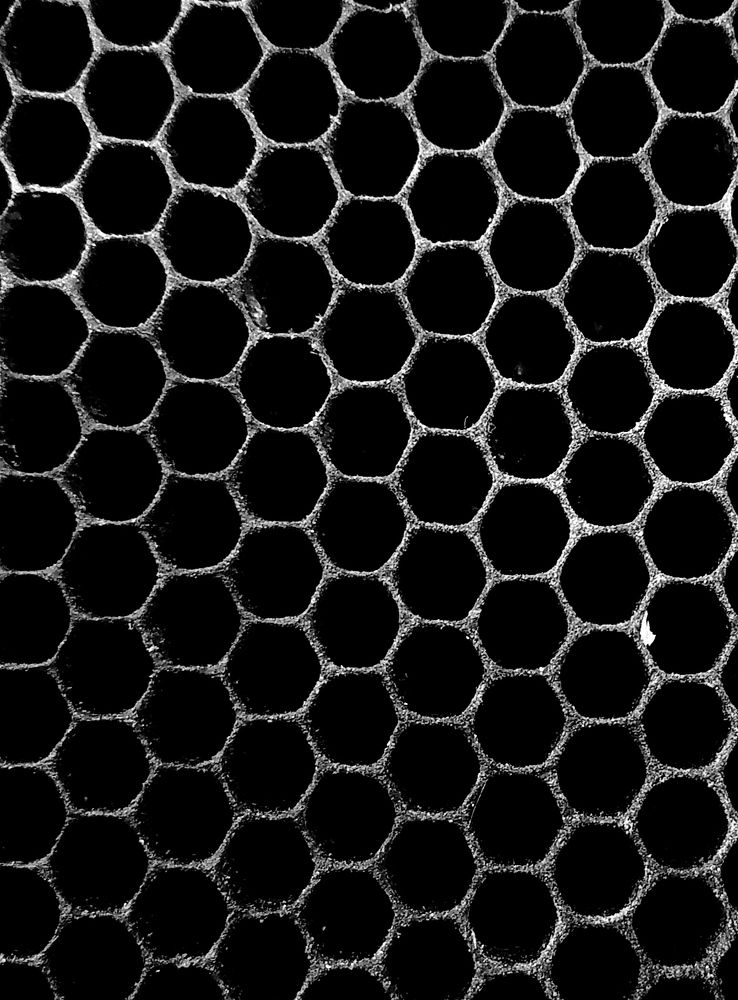 Photograph by Андрей Микулич