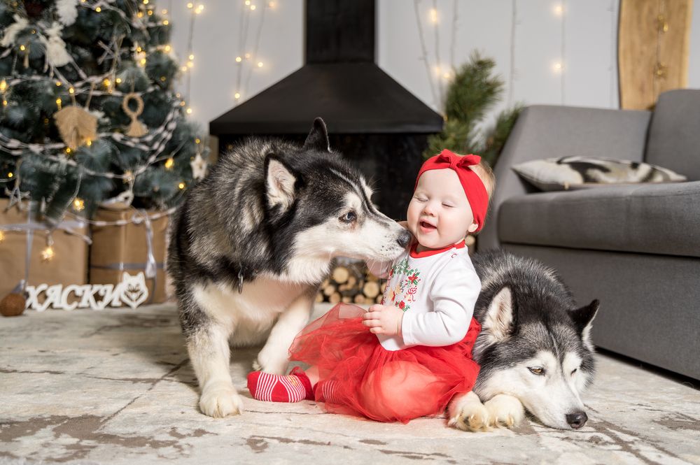 Фотография автора Василиса Новикова