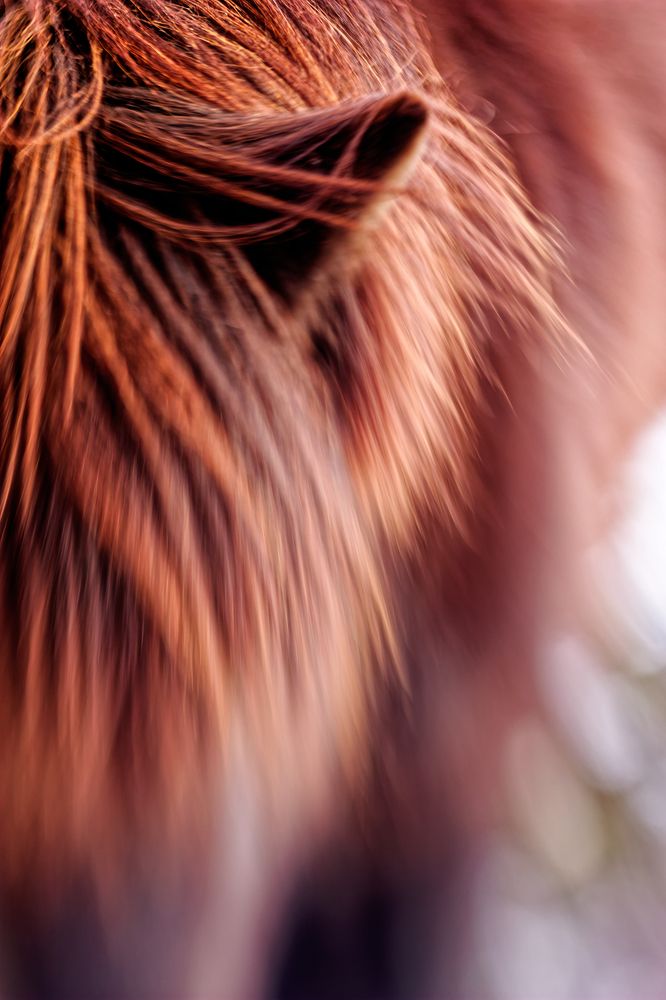 Photograph by Miroslav Polca