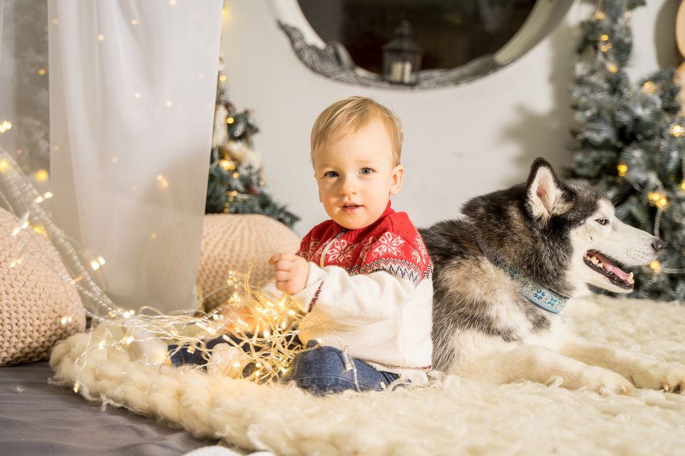 Фотография автора Василиса Новикова