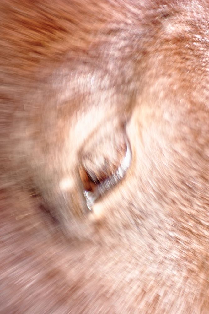 Photograph by Miroslav Polca