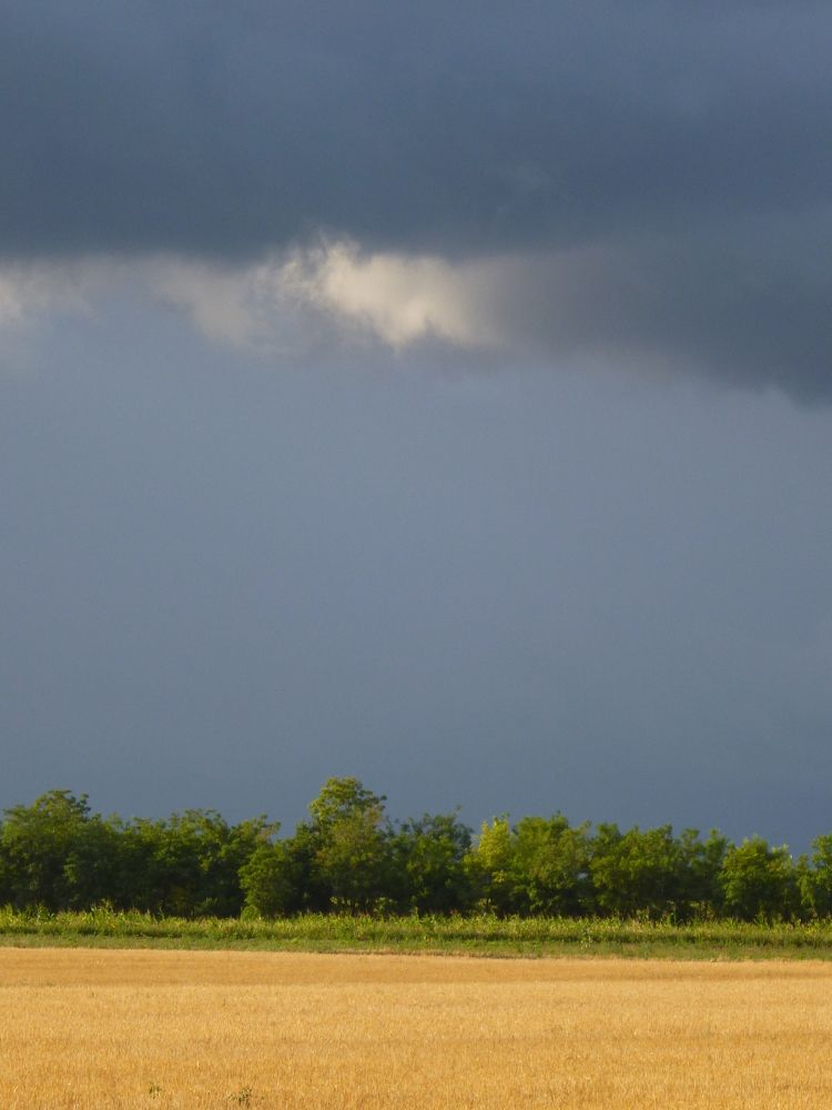 Photograph by Мила