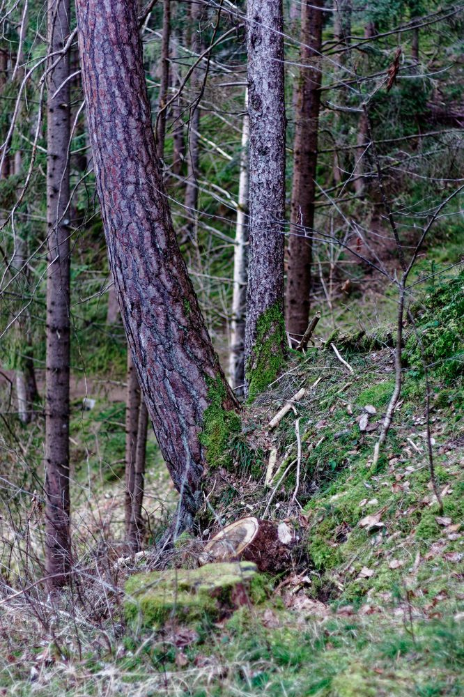 Photograph by Miroslav Polca