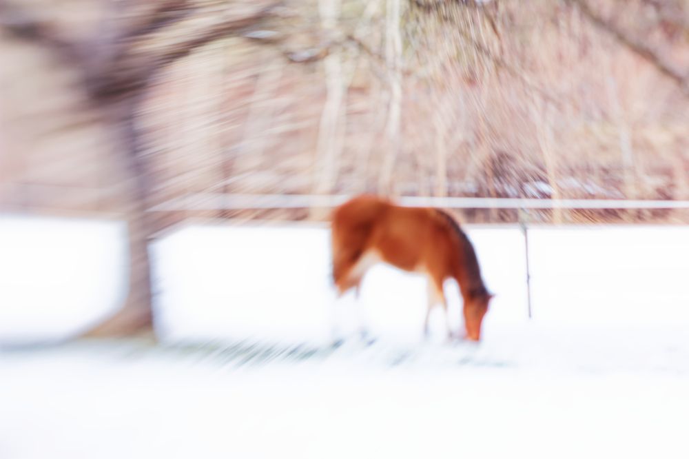 Photograph by Miroslav Polca