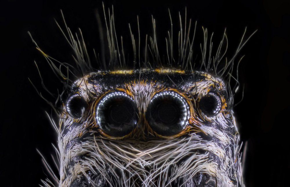 Photograph by Павел Сагайдак