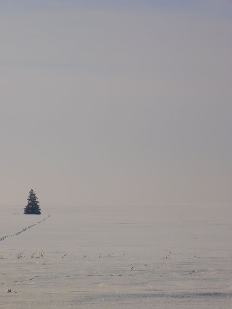 Photograph by Анастасия Афанасьева