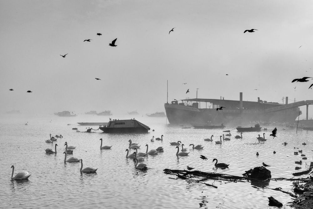 Photograph by Dragan Cerovic