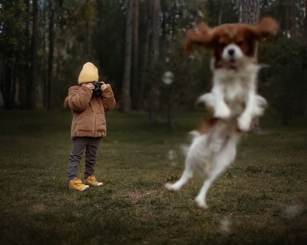 Photograph by Татьяна Продан