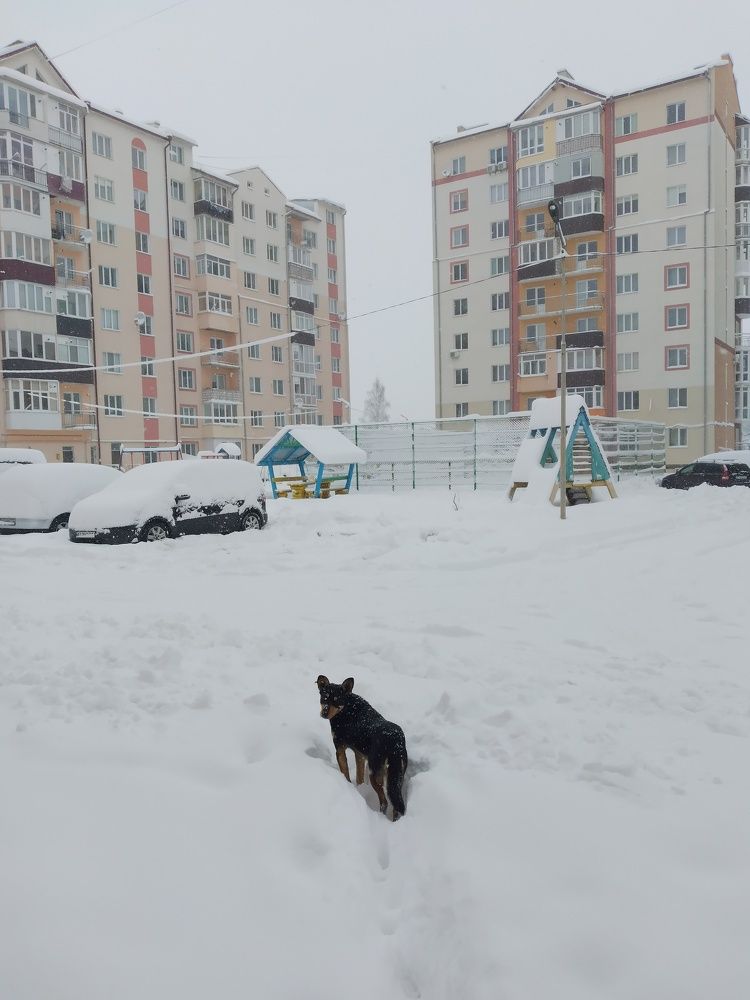 Зимовий пейзаж
