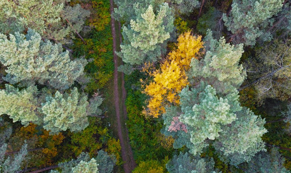 Photograph by Павел Минкевич