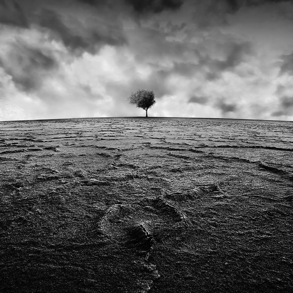 Photograph by Mohammad Dadsetan