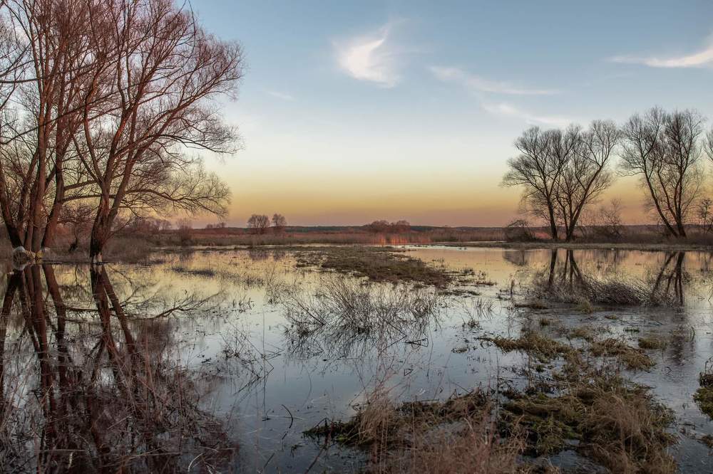 Фотография автора Justyna Jeżak