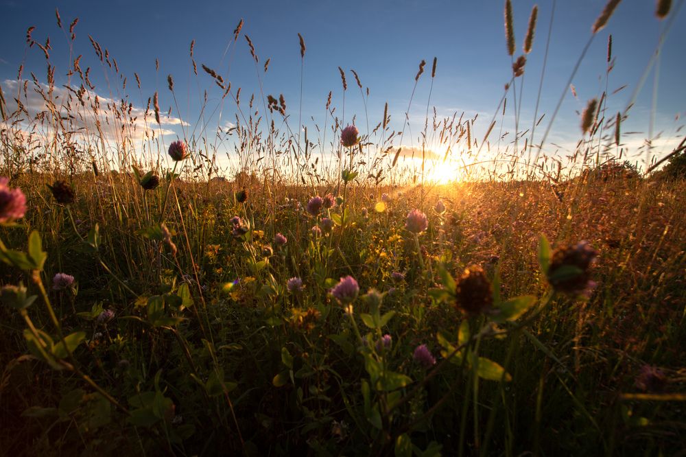 Photograph by Александр Кузнецов