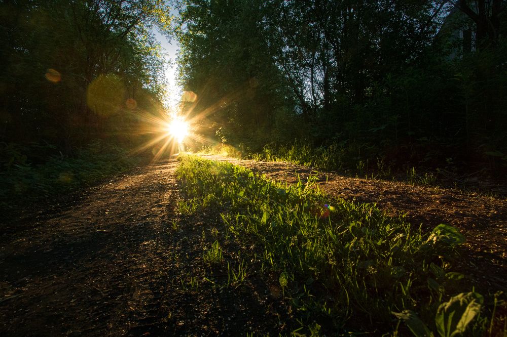 Photograph by Александр Кузнецов
