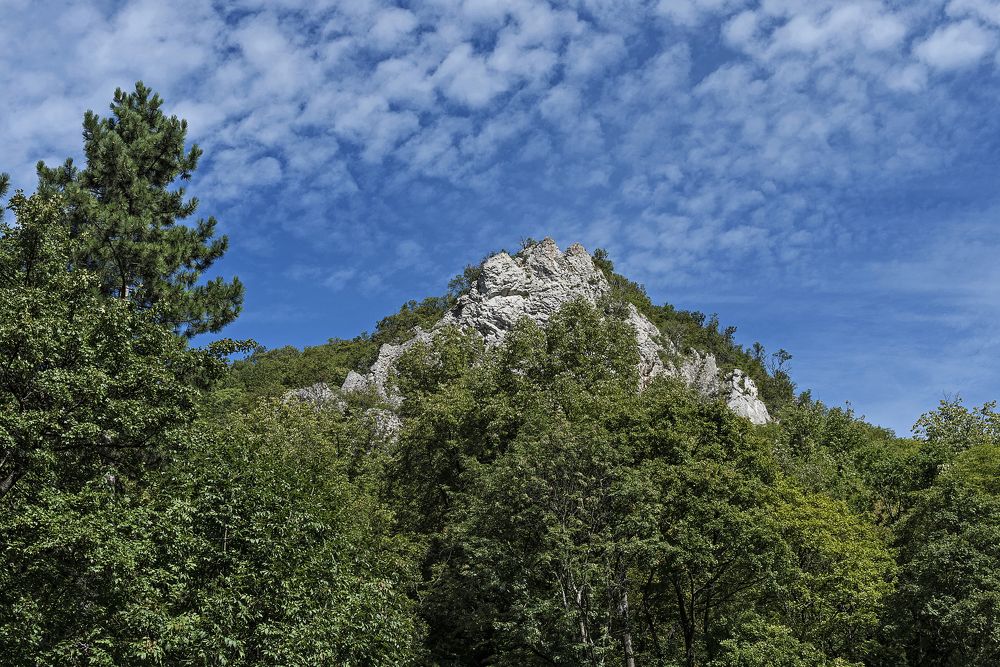 Фотография автора Dragan Cerovic