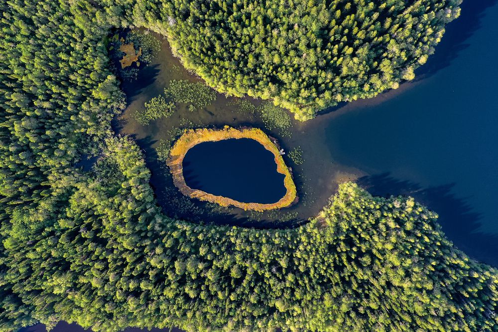 Photograph by Press Fond