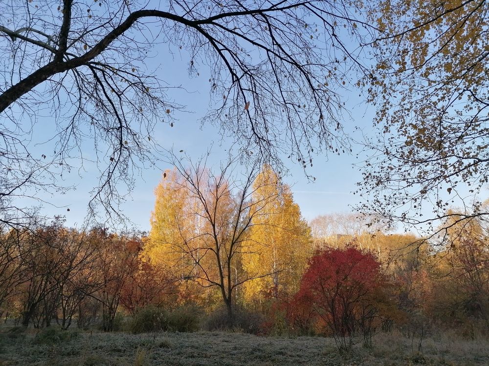 Краски осени