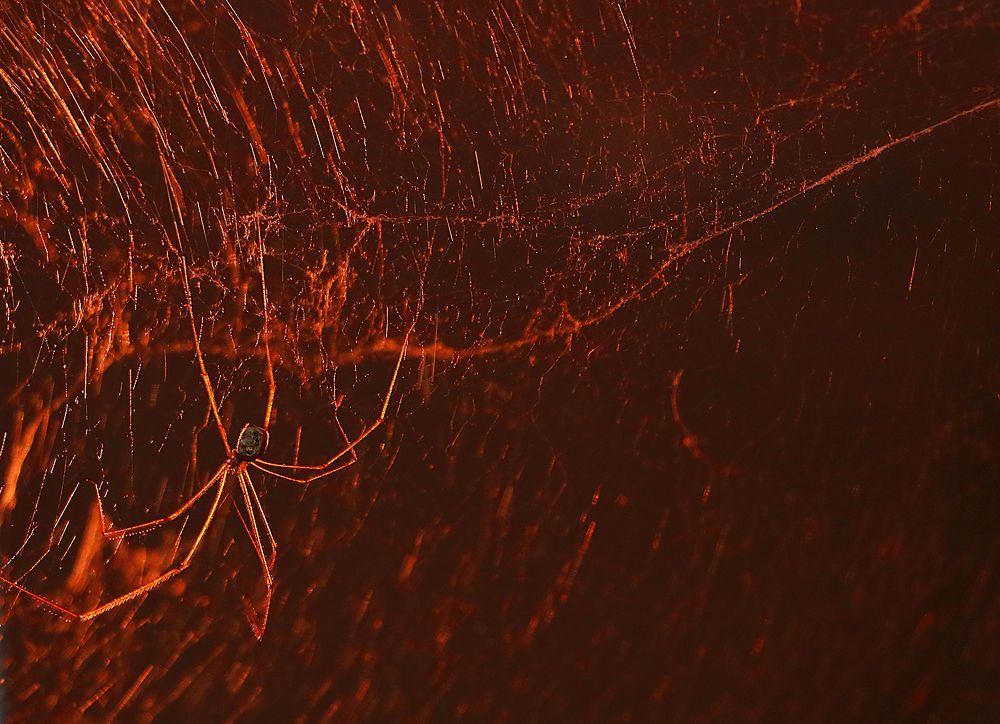 Photograph by Светлана Васильева