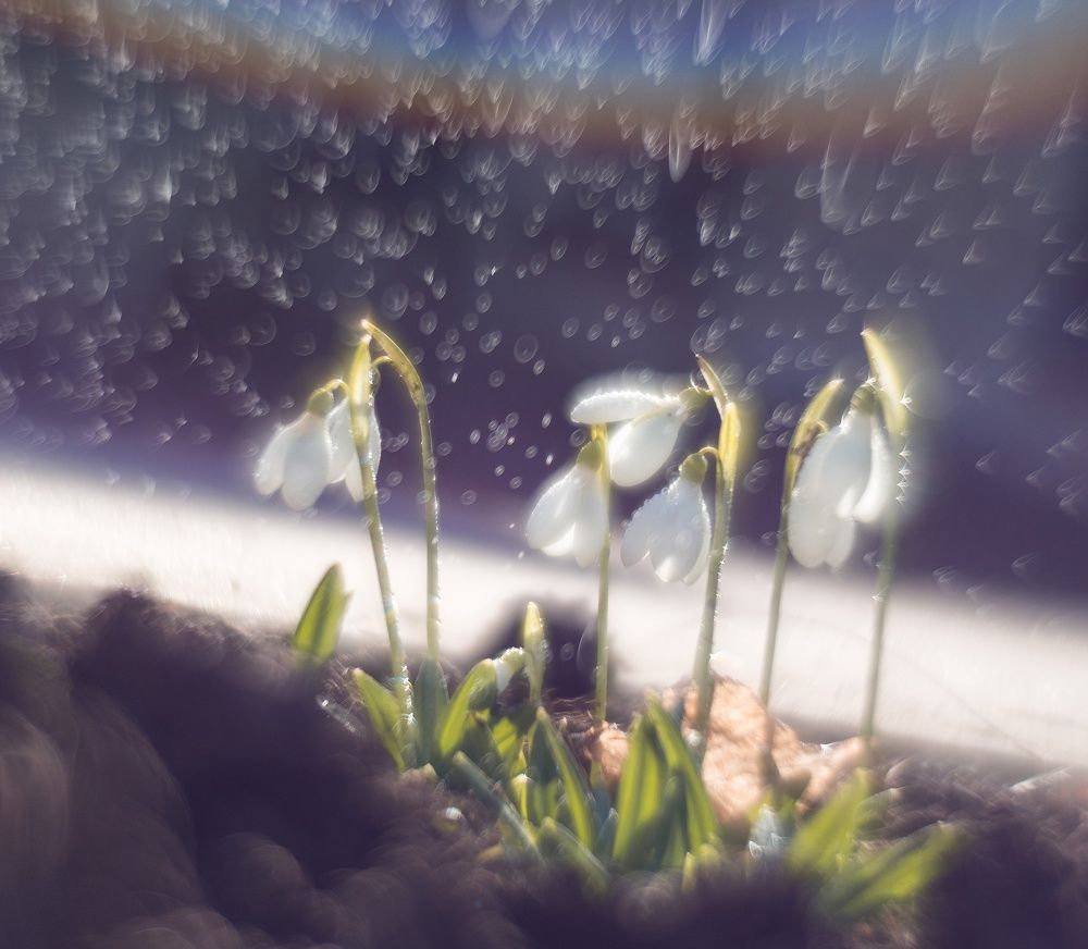 Photograph by Анатолий Щербак