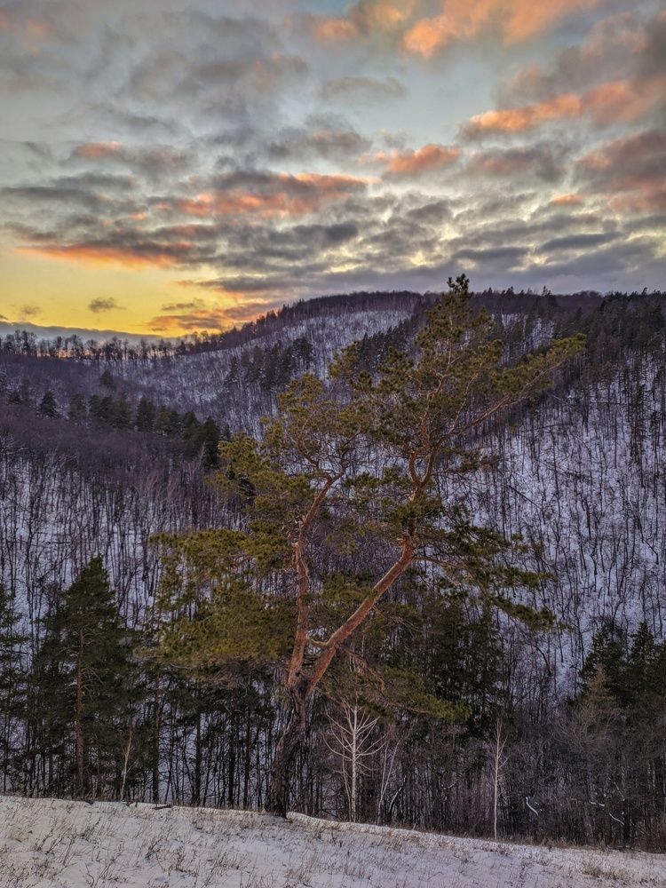 Photograph by Денис Сухов