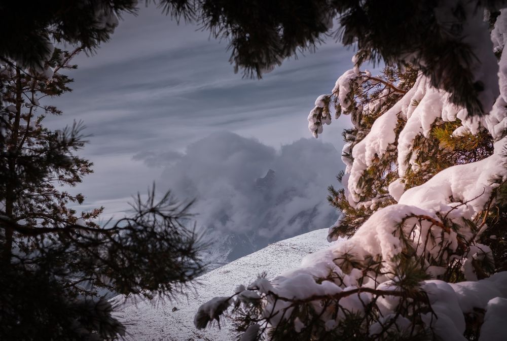 Photograph by Шивцов Евгений