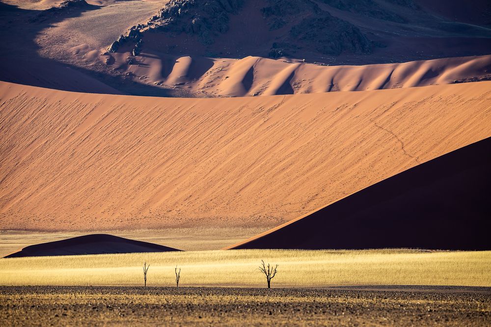 Photograph by Геннадий Зеленковец
