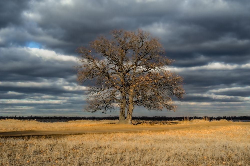 Photograph by Роман Васильев
